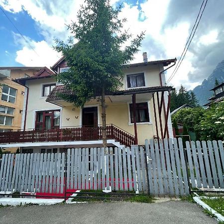 Constantinescu A. Hotel Buşteni Buitenkant foto