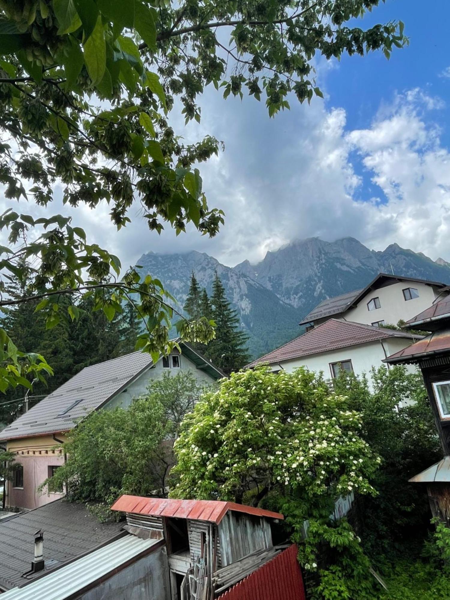 Constantinescu A. Hotel Buşteni Buitenkant foto