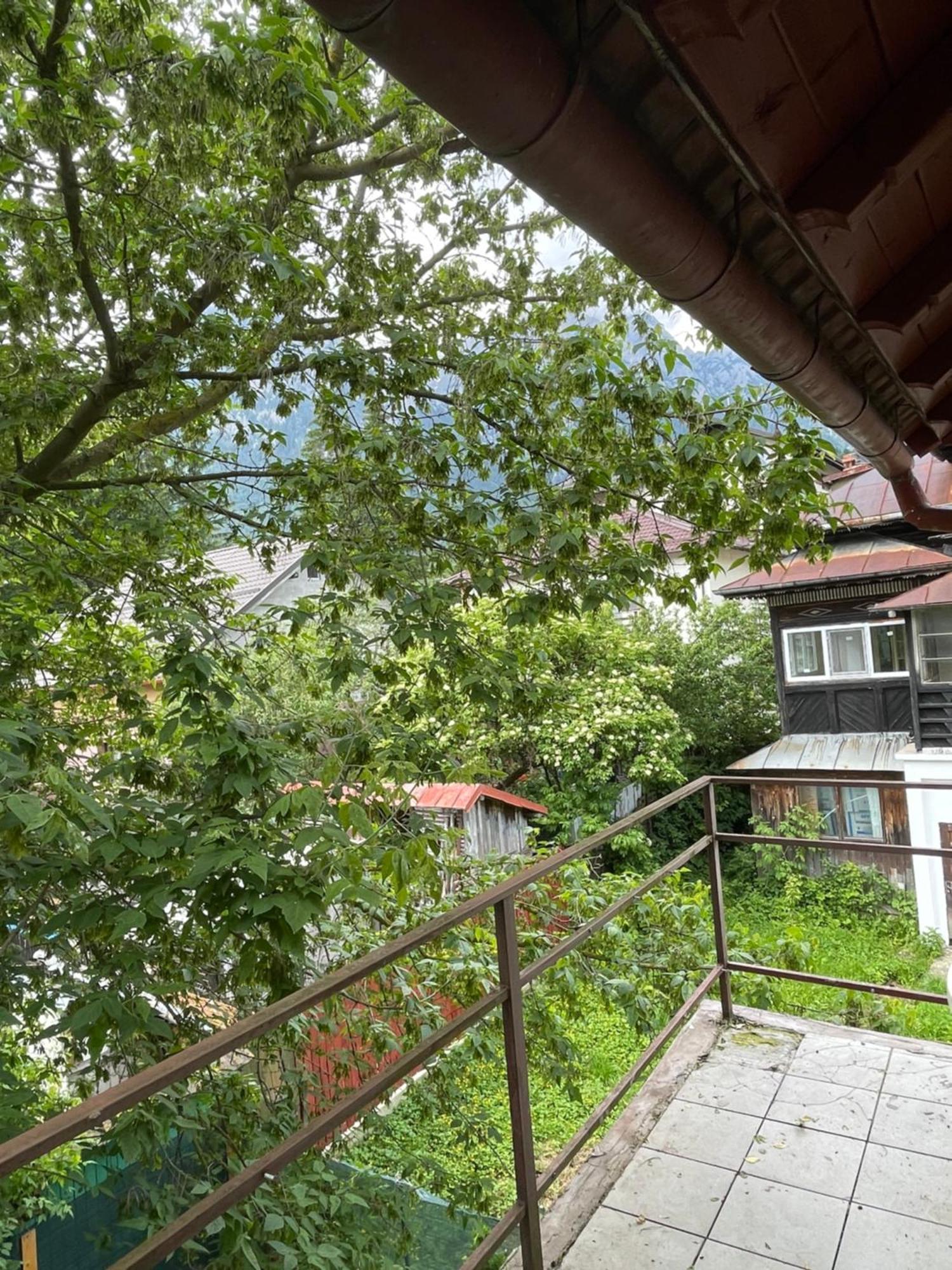 Constantinescu A. Hotel Buşteni Buitenkant foto